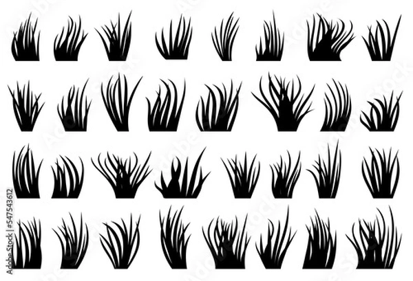 Obraz Grass natural organic lawn black silhouette set. Different shape eco plant fresh bush spring herbal turf on white background. Contour bio herb meadow. Greenery leaves cartoon foliage landscape border