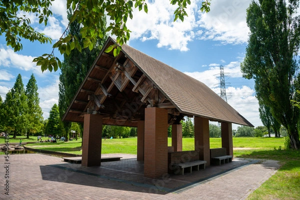 Fototapeta 夏の公園