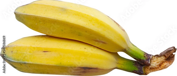 Obraz bananas isolated