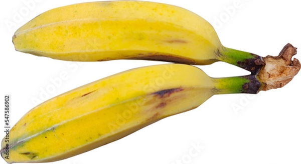 Obraz banana