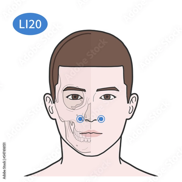 Obraz 영향 경혈 혈자리 일러스트