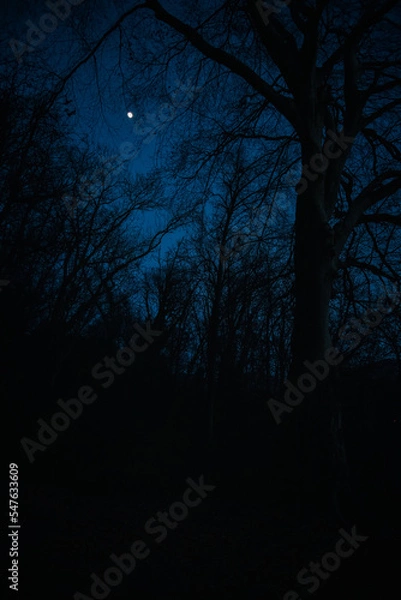 Fototapeta blu notte