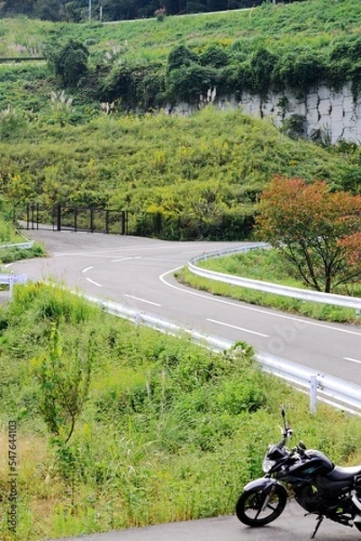 Obraz ワインディング