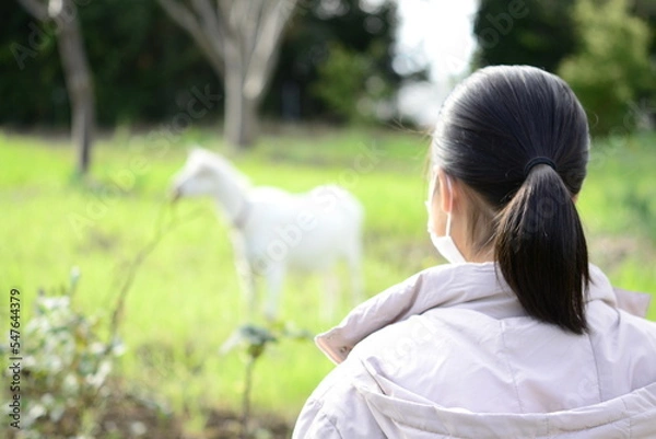 Obraz ヤギを見る子