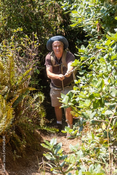 Fototapeta A Temperate Rain Forest in Northern California with Ferns and Coniferous Trees with a Male Biologist Exploring the Habitat
