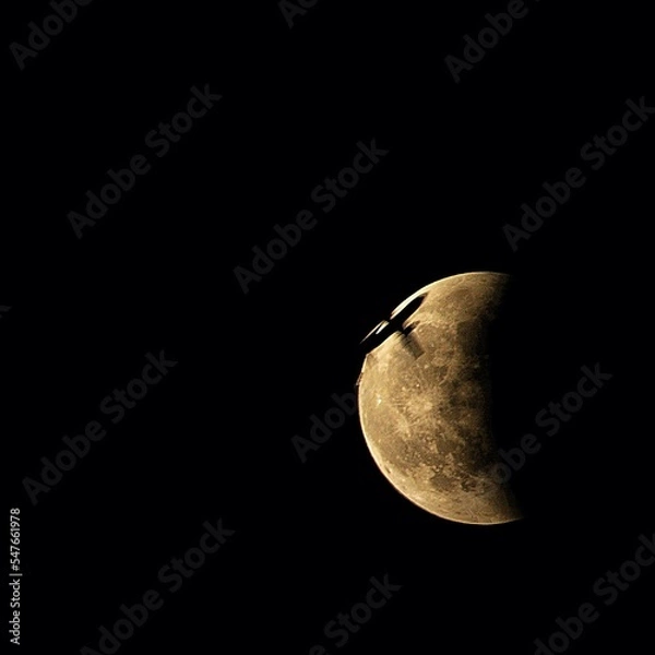 Obraz full moon in the night