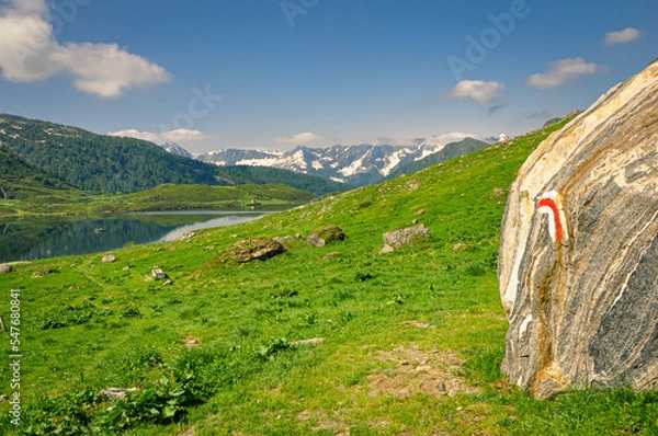 Fototapeta panorami alpini
