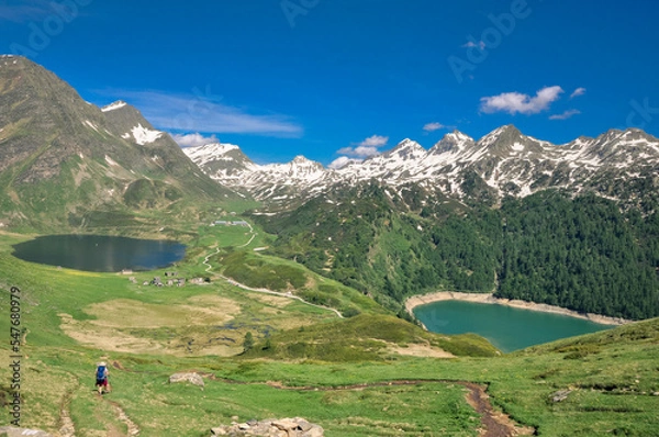 Fototapeta panorami alpini