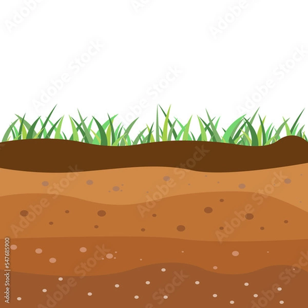 Fototapeta Underground soil layers, green grass surface.Brown clay structure, topsoil field environment and nature geology illustration. Soil layers