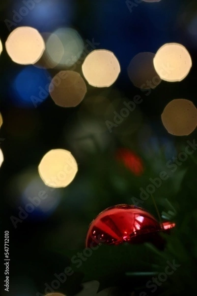 Obraz christmas tree lights