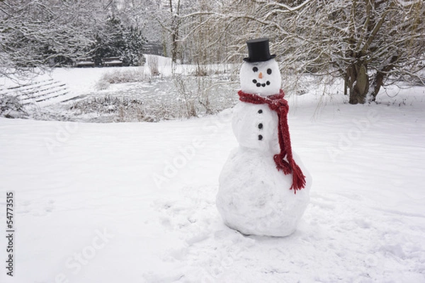Obraz Snowman