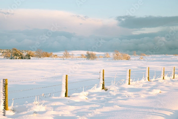 Obraz winter landscape with snow