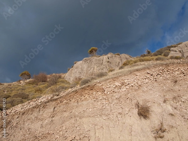 Obraz Ayvalık Sarımsaklı