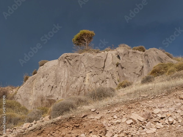 Obraz Ayvalık Sarımsaklı