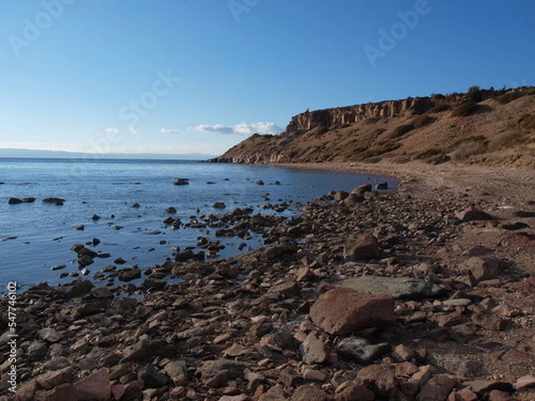 Obraz ayvalık sarımsaklı