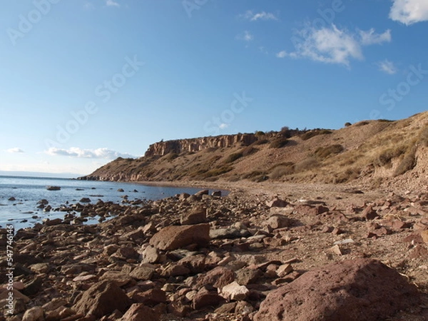 Obraz ayvalık sarımsaklı