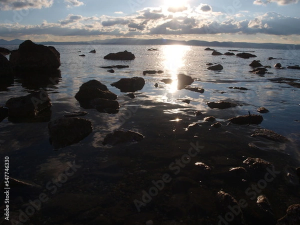 Obraz ayvalık sarımsaklı