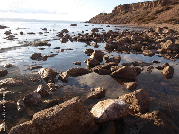 Obraz ayvalık sarımsaklı