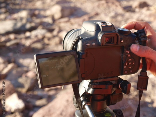 Obraz ayvalık sarımsaklı