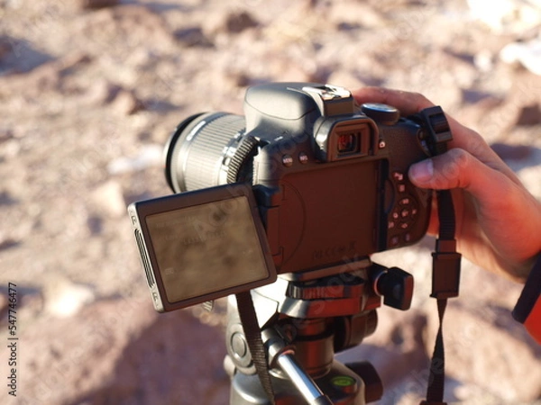 Obraz ayvalık sarımsaklı