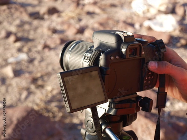 Obraz ayvalık sarımsaklı