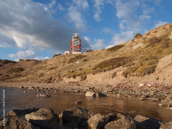 Obraz ayvalık sarımsaklı