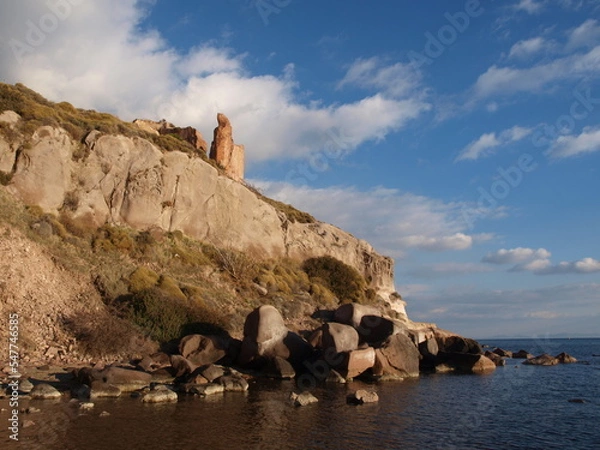 Obraz ayvalık sarımsaklı