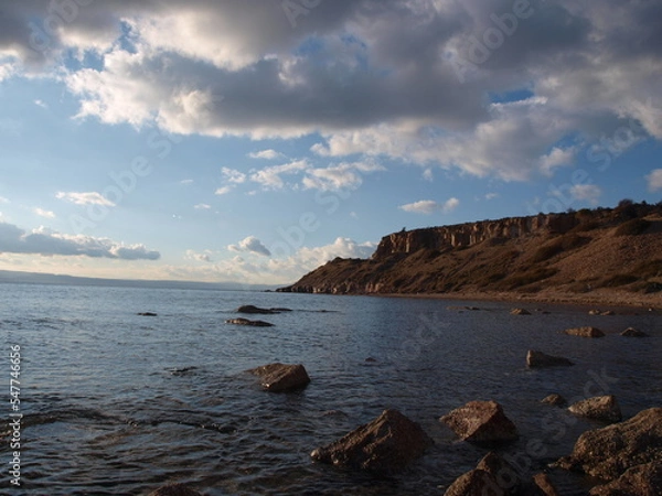 Obraz ayvalık sarımsaklı badavut