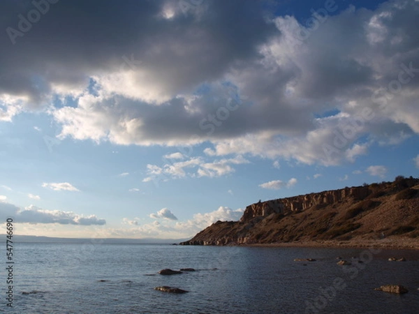 Obraz ayvalık sarımsaklı badavut