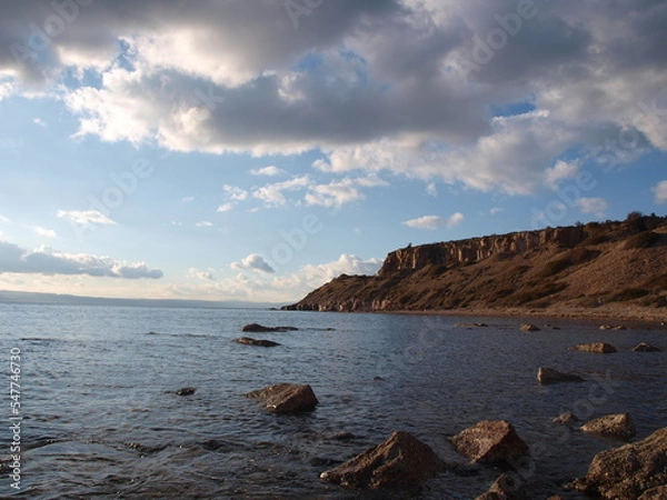 Obraz ayvalık sarımsaklı badavut