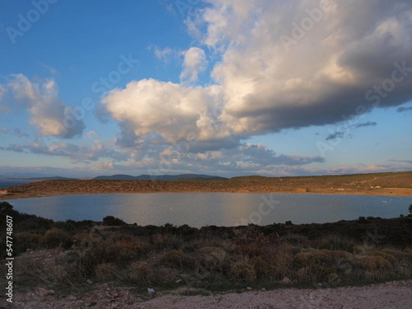 Obraz ayvalık sarımsaklı