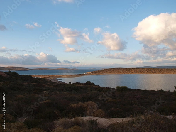 Obraz ayvalık sarımsaklı