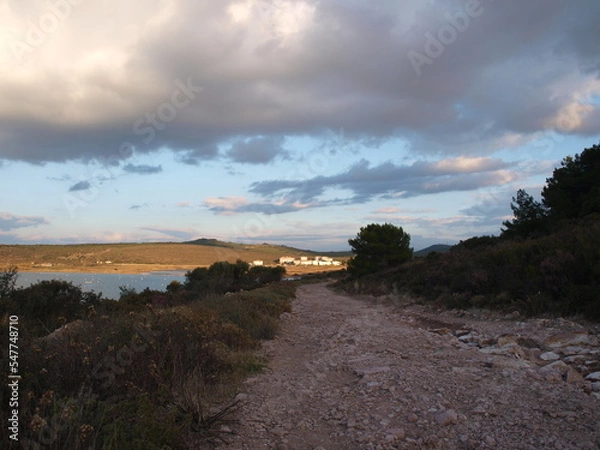 Obraz ayvalık sarımsaklı