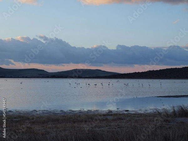 Obraz Ayvalık Manzara