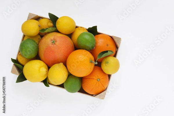 Obraz Mix of citrus fruits. Oranges, grapefruit, lemons and limes with leaves in wooden box on white background. Top view. Photo from above.