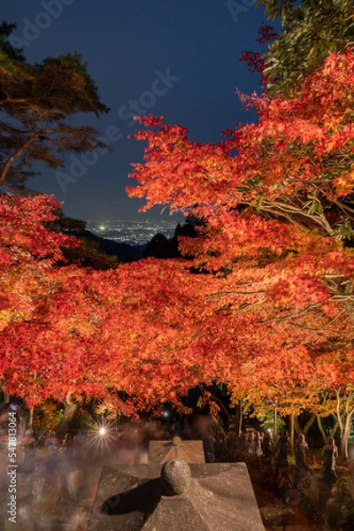 Obraz 大山寺（伊勢原市）の紅葉ライトアップと夜景