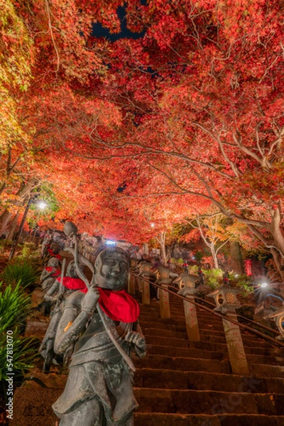 Obraz 大山寺（伊勢原市）の紅葉ライトアップ