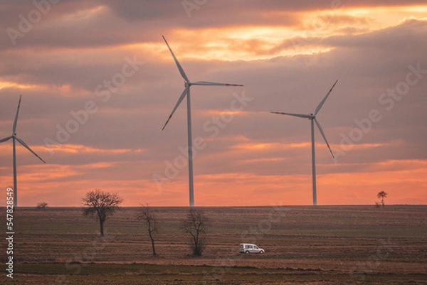 Fototapeta Mikrobus