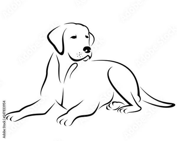 Obraz Image of a dog labrador design isolated on transparent background. Pet. Animals.