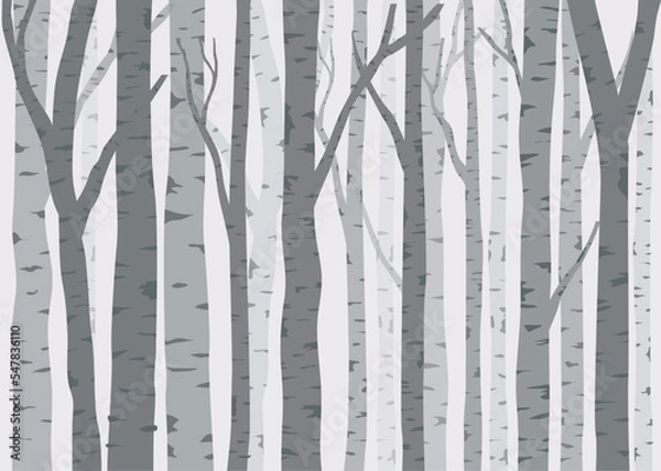 Fototapeta birch trees seamless pattern vector
