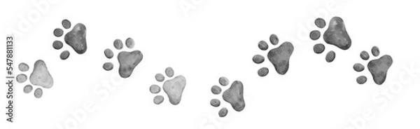 Fototapeta cat paw prints walking right and left gray or black and white watercolor border element