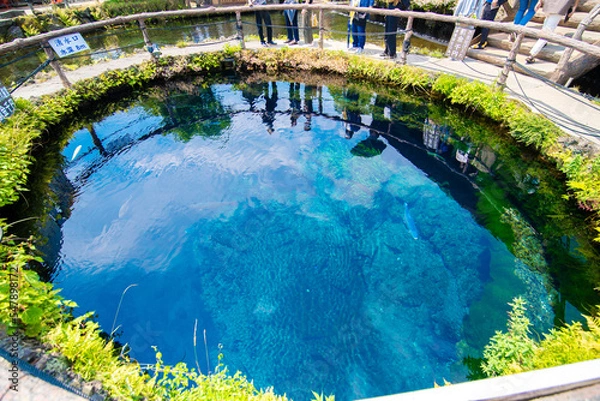 Obraz 大人気観光スポット「忍野八海」の透き通る水