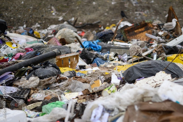 Fototapeta Garbage dump at waste processing site. Environment pollution concept