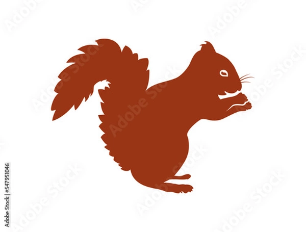 Obraz Rotes Eichhörnchen Vektor / SVG