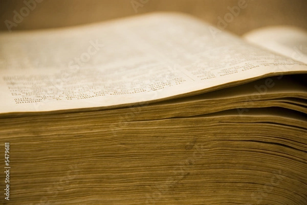 Obraz open antique book