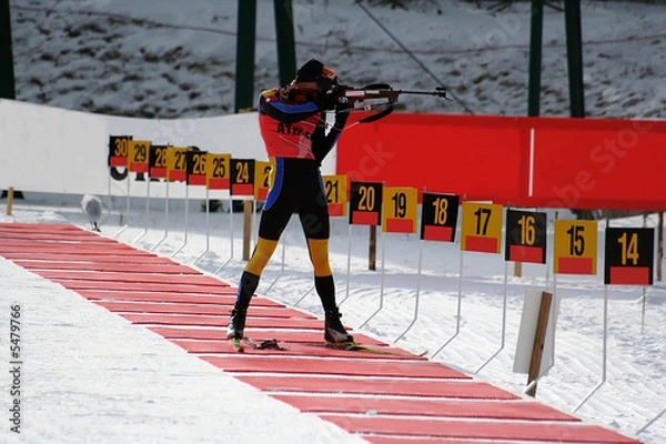 Obraz Biathlon