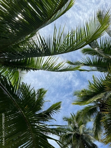Obraz El Chocó, Colombia
