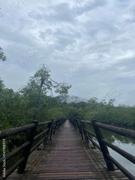 Obraz El Chocó, Colombia