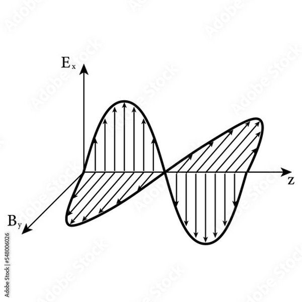 Fototapeta Electromagnetic wave. Electric field and magnetic field oscillation. Wave propagation. Scientific vector illustration isolated on white background.