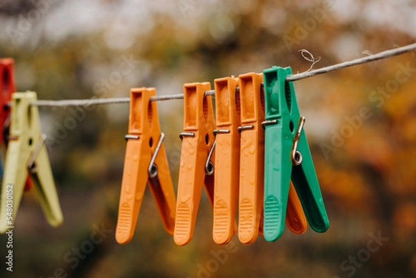 Obraz Multi-colored clothespins on a clothesline. Wet clothespins close-up